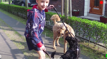 Vlog van Eli: Honden uitlaten