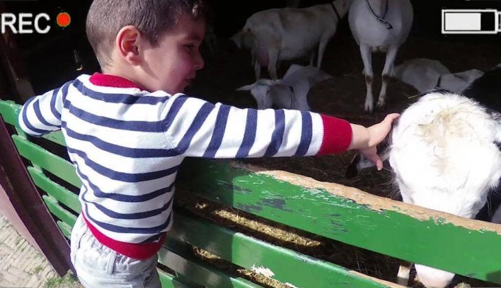 Vlog van Monik: Naar de kinderboerderij